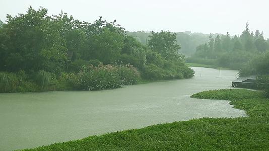杭州西溪生态风景视频的预览图