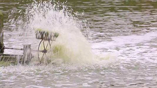 l1湿地湖中水车视频的预览图