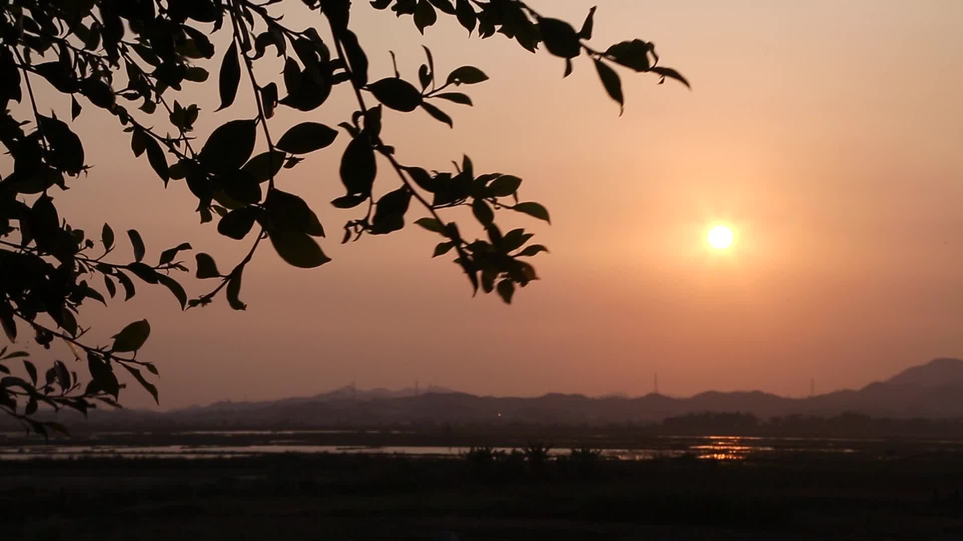 汕尾海丰晚霞黄昏景观视频的预览图