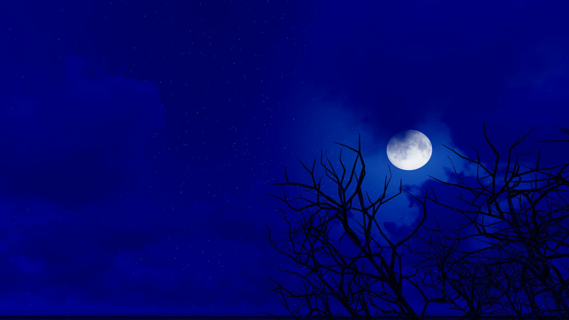 月黑风高死寂的夜晚视频的预览图