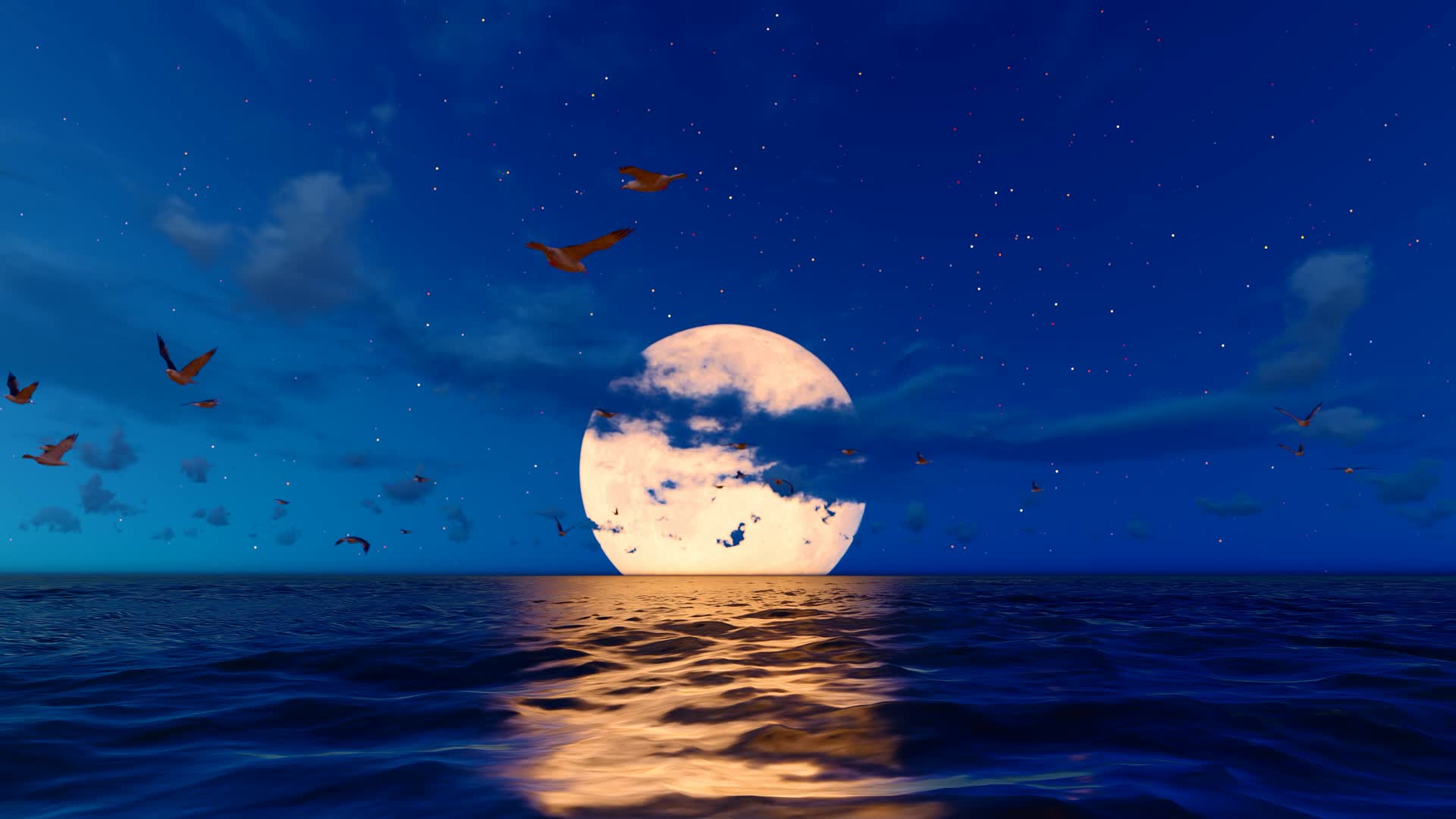 夕阳和月色下的海鸥在大海自由飞翔视频的预览图