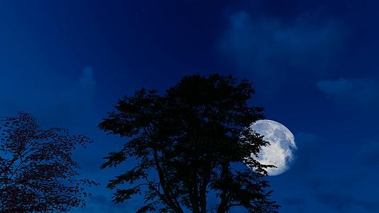 八月十五中秋节树梢屋檐上升起的月亮视频的预览图