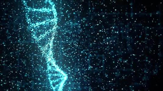 粒子DNA视频的预览图