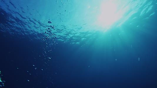 海底水母形水泡气泡欢快滴上升冲向海面视频的预览图
