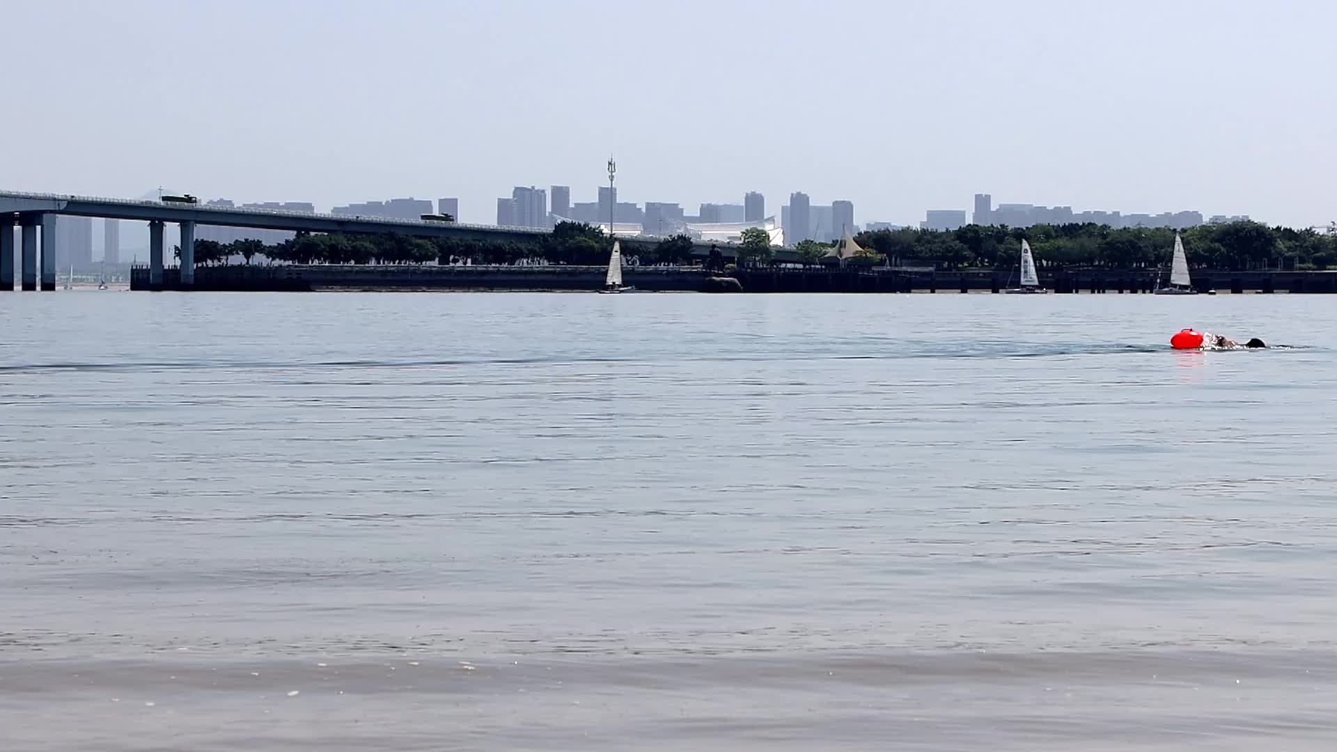 五缘湾内夏天中午游泳的人和帆船高清视频的预览图