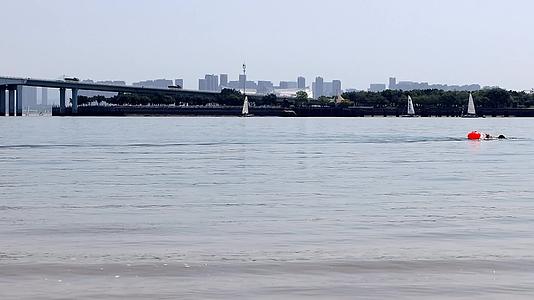 五缘湾内夏天中午游泳的人和帆船高清视频的预览图