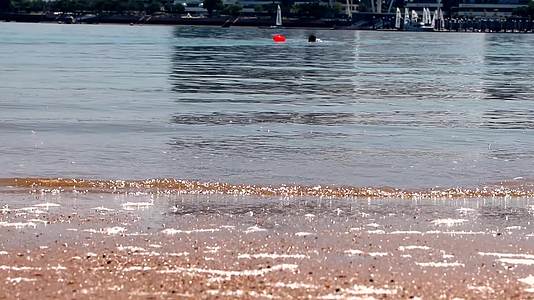 五缘湾港内夏天中午游泳的人高清视频的预览图