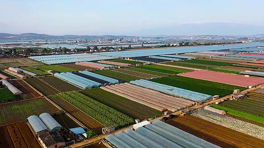 4K拍摄蔬菜大棚种植基地视频的预览图