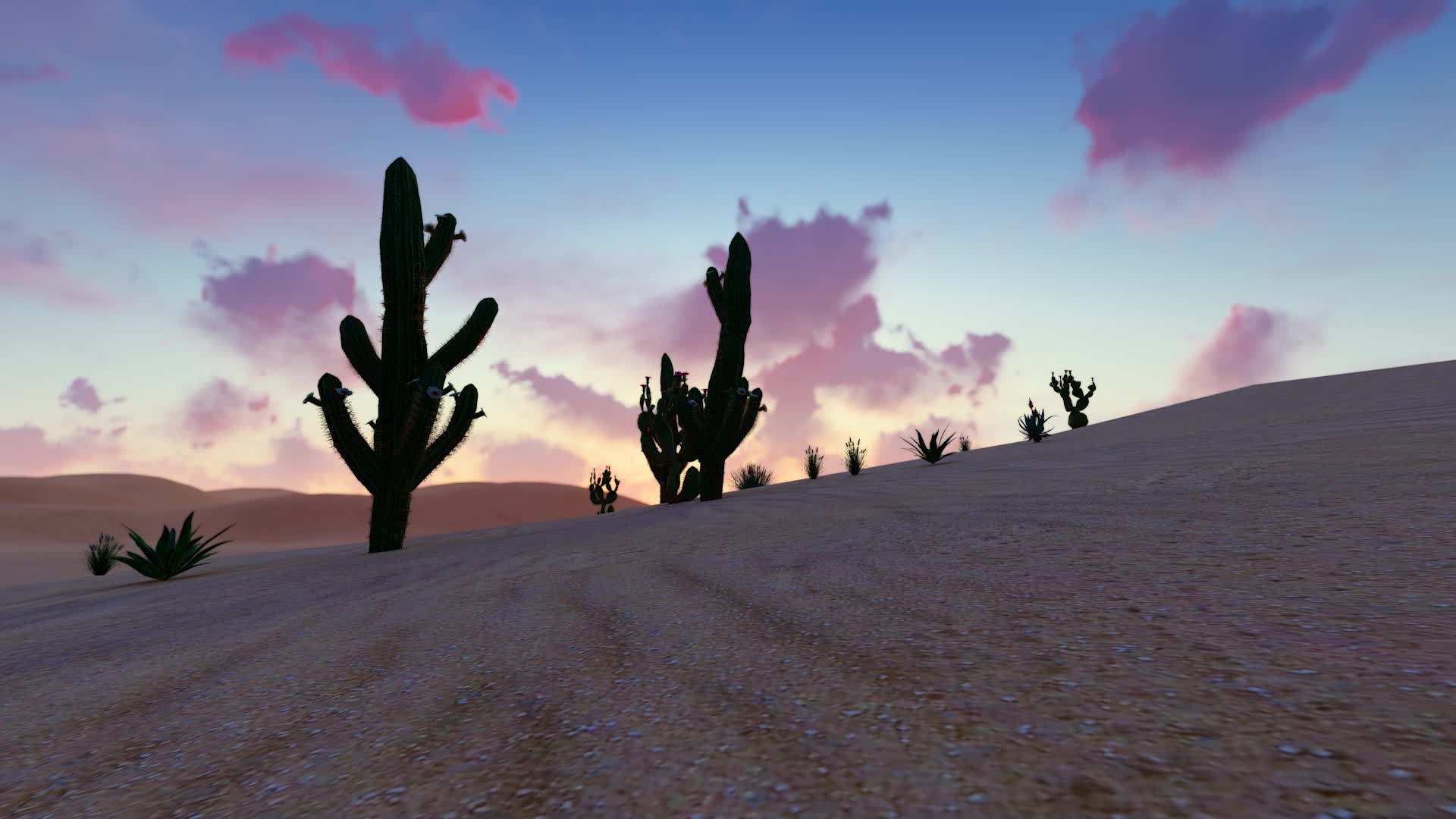 干旱沙漠植物仙人掌日出日落视频的预览图