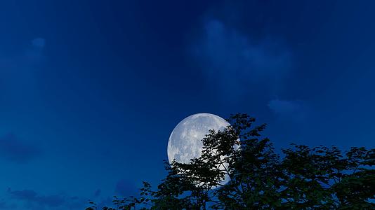 中秋节夜晚满月升空月上树梢视频的预览图