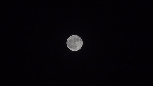 夜空中的明月圆月视频的预览图