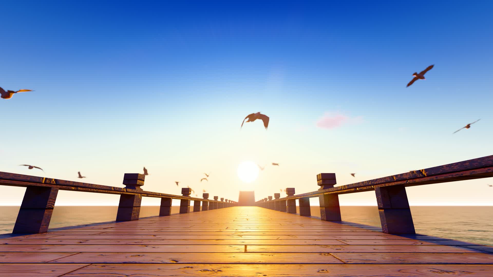 大海黄昏落日码头海鸥飞翔视频的预览图