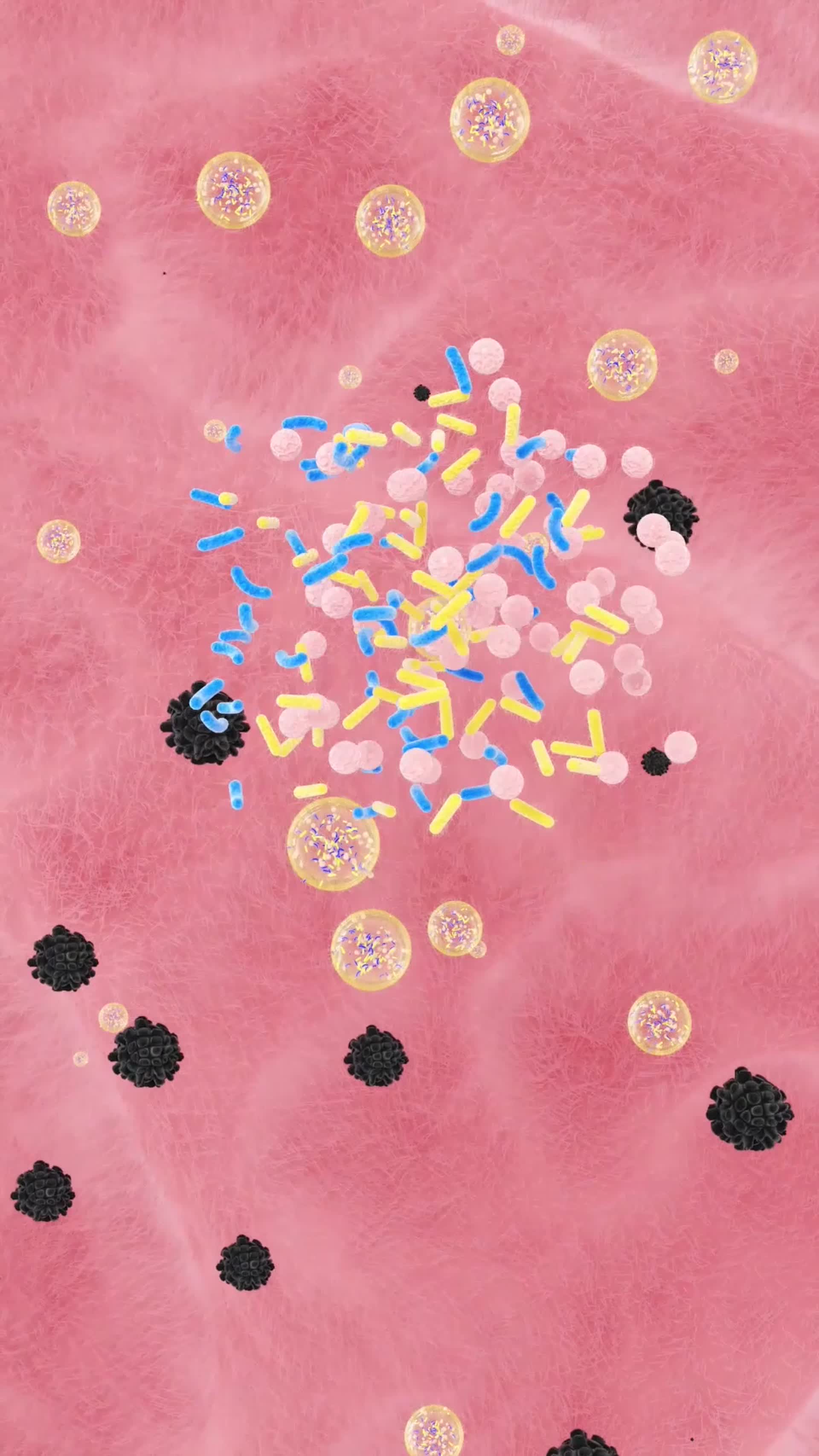 c4d肠道益生菌消灭病毒三维动画视频的预览图