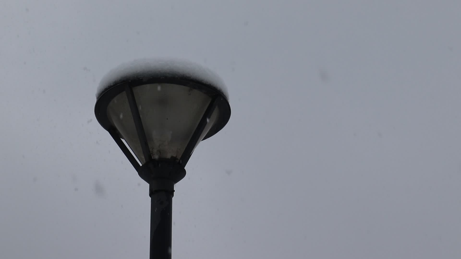 冬天下雪路灯特写实拍视频的预览图