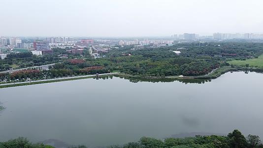 成都青龙湖视频的预览图