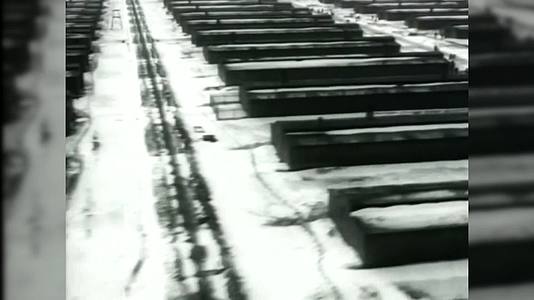 奥斯维辛犹太人集中营及惨死的犹太人视频的预览图