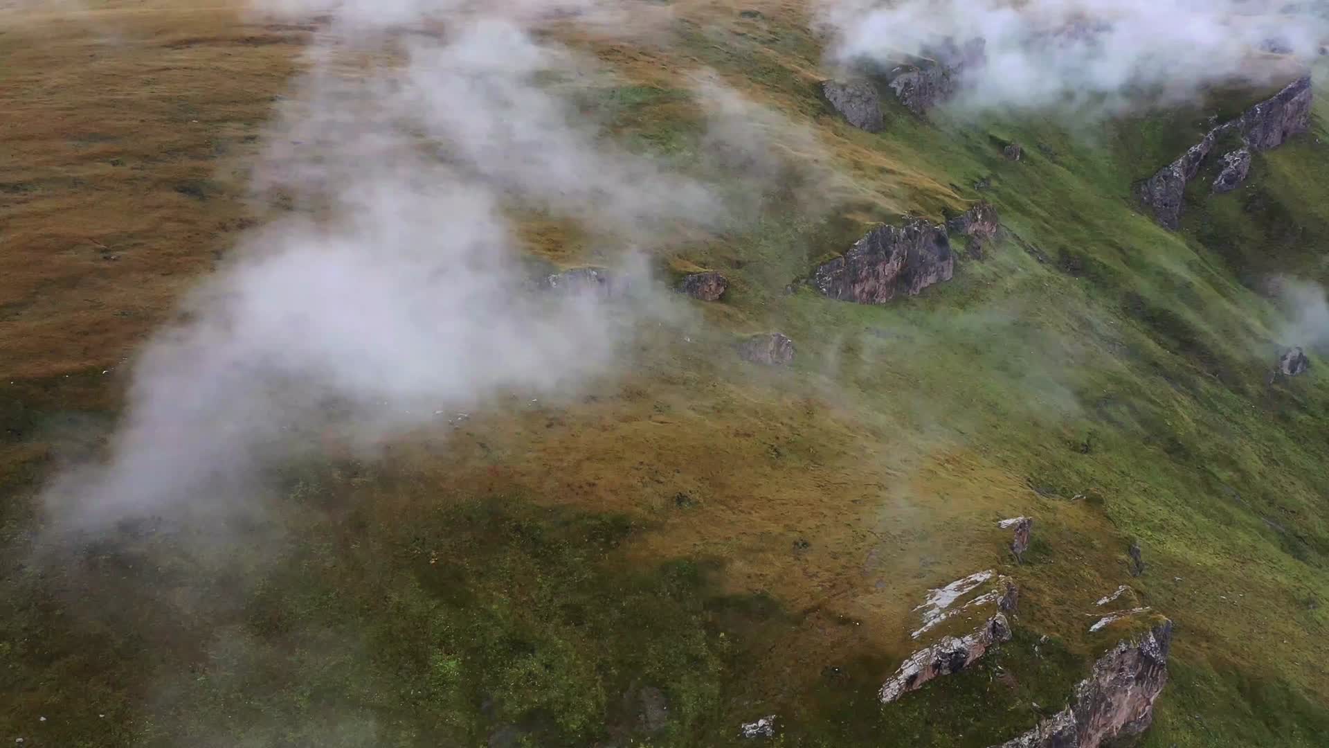 云雾草原视频的预览图