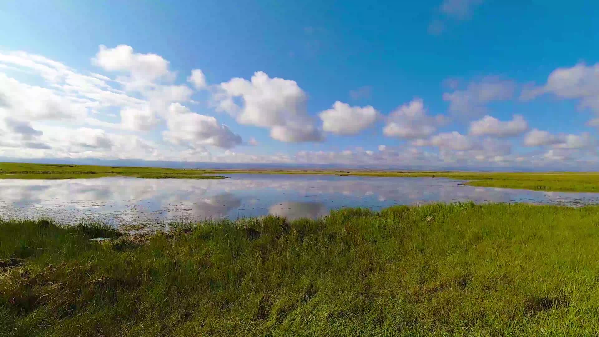 草原湿地视频的预览图