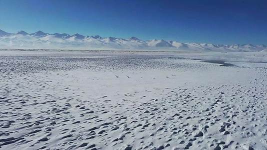 冬季天鹅湖视频的预览图