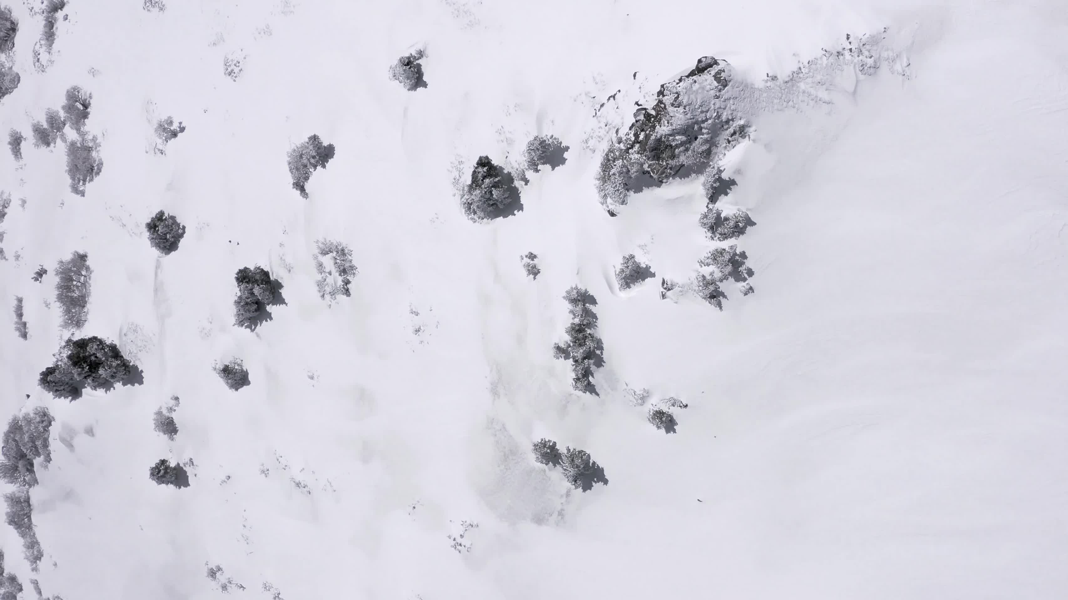 雪域天山视频的预览图