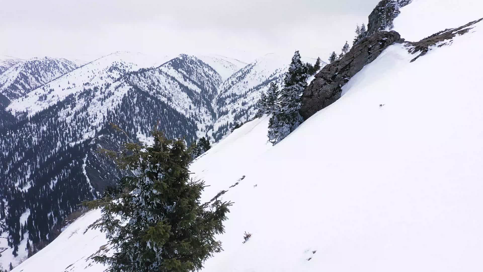 雪域天山视频的预览图