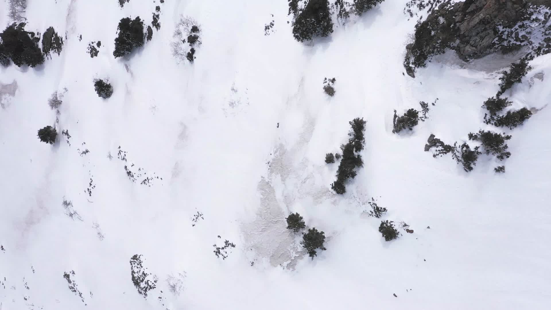 雪域视频的预览图