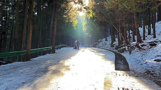 冬天旅游庐山景区登山路上飘雪中步行的游客4k视频的预览图