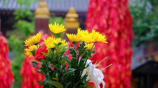 寺庙里雨中盛开的花束视频的预览图