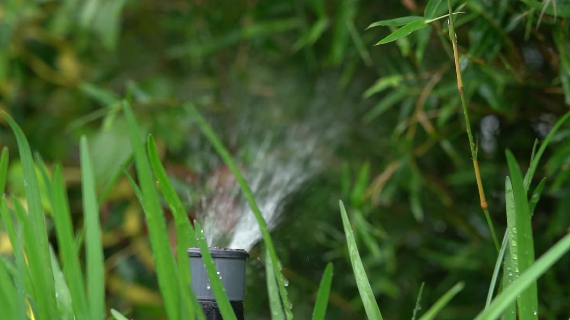 4K灌溉270旋转洒水实拍视频视频的预览图