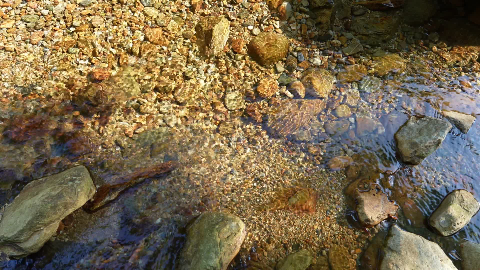 山间流水溪流视频的预览图