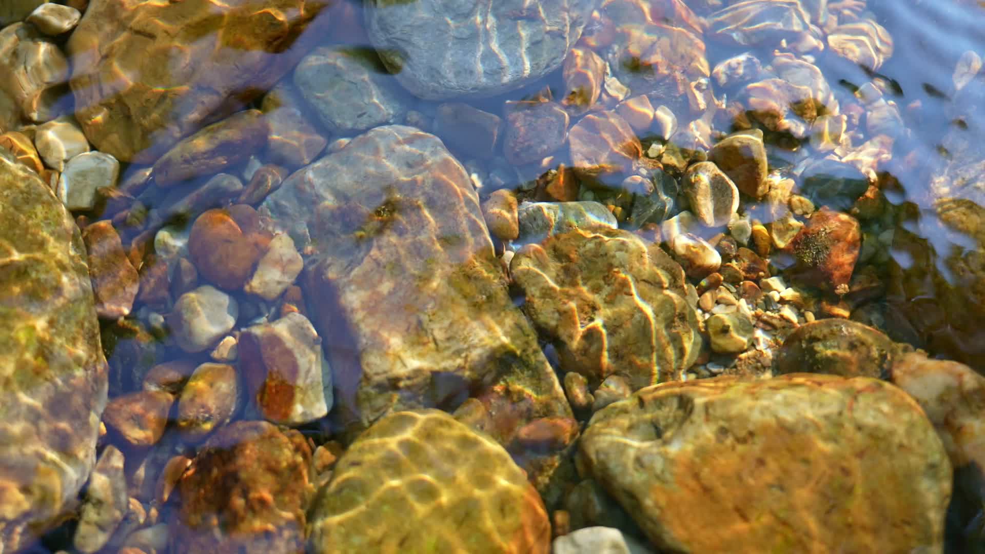 大自然小溪流水视频的预览图