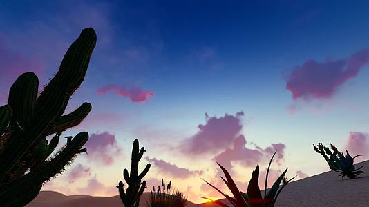 沙漠日出日落延时和沙漠植物视频的预览图