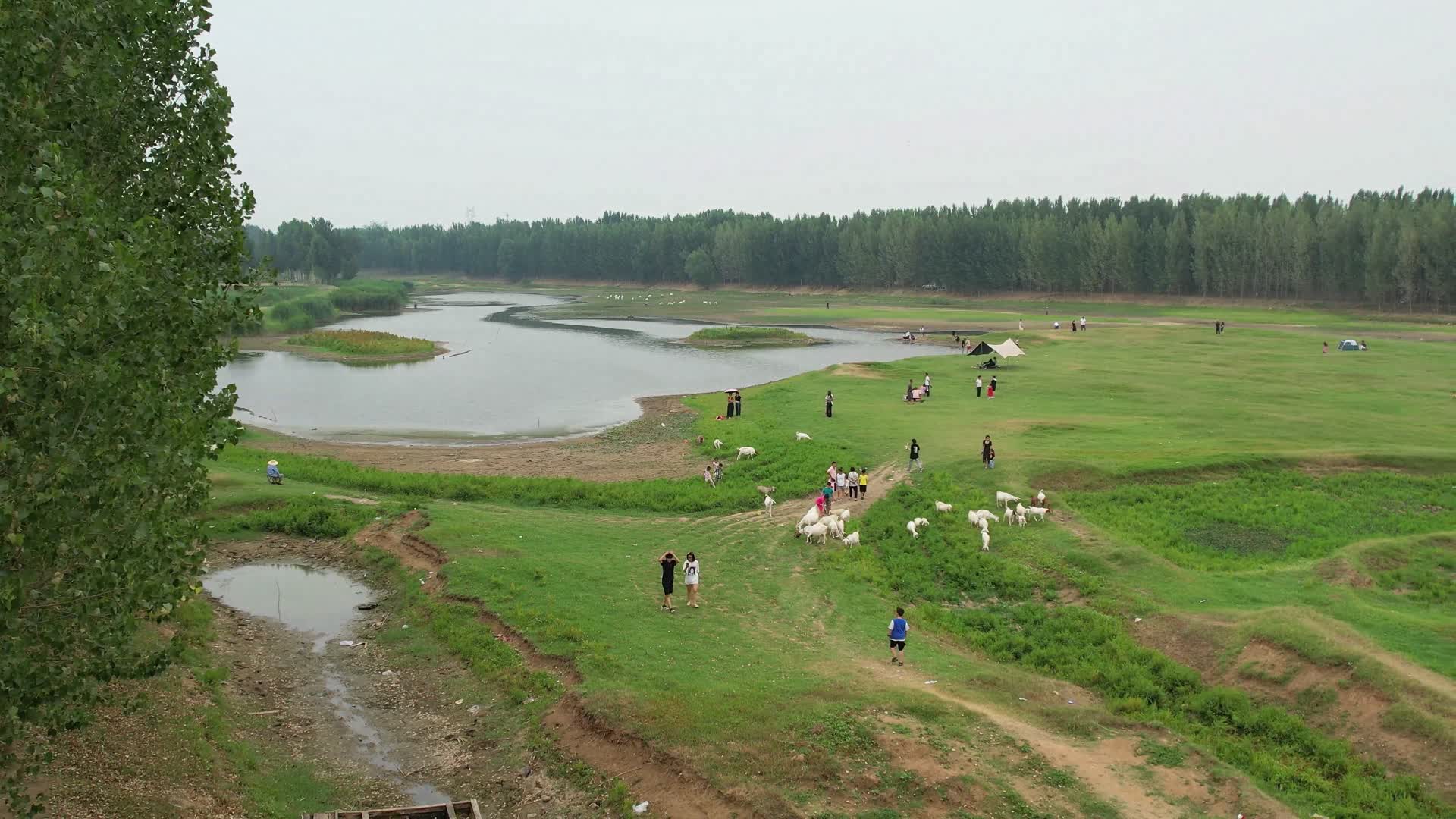 网红打卡地航拍草地人群景点羊群视频的预览图