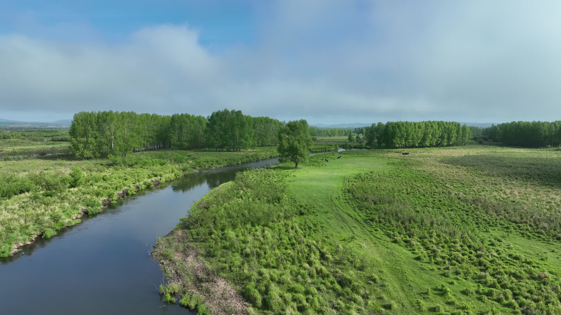 航拍大兴安岭林区湿地风景视频的预览图