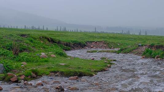 新疆那拉提草原雪山森林小溪绝美风光视频的预览图