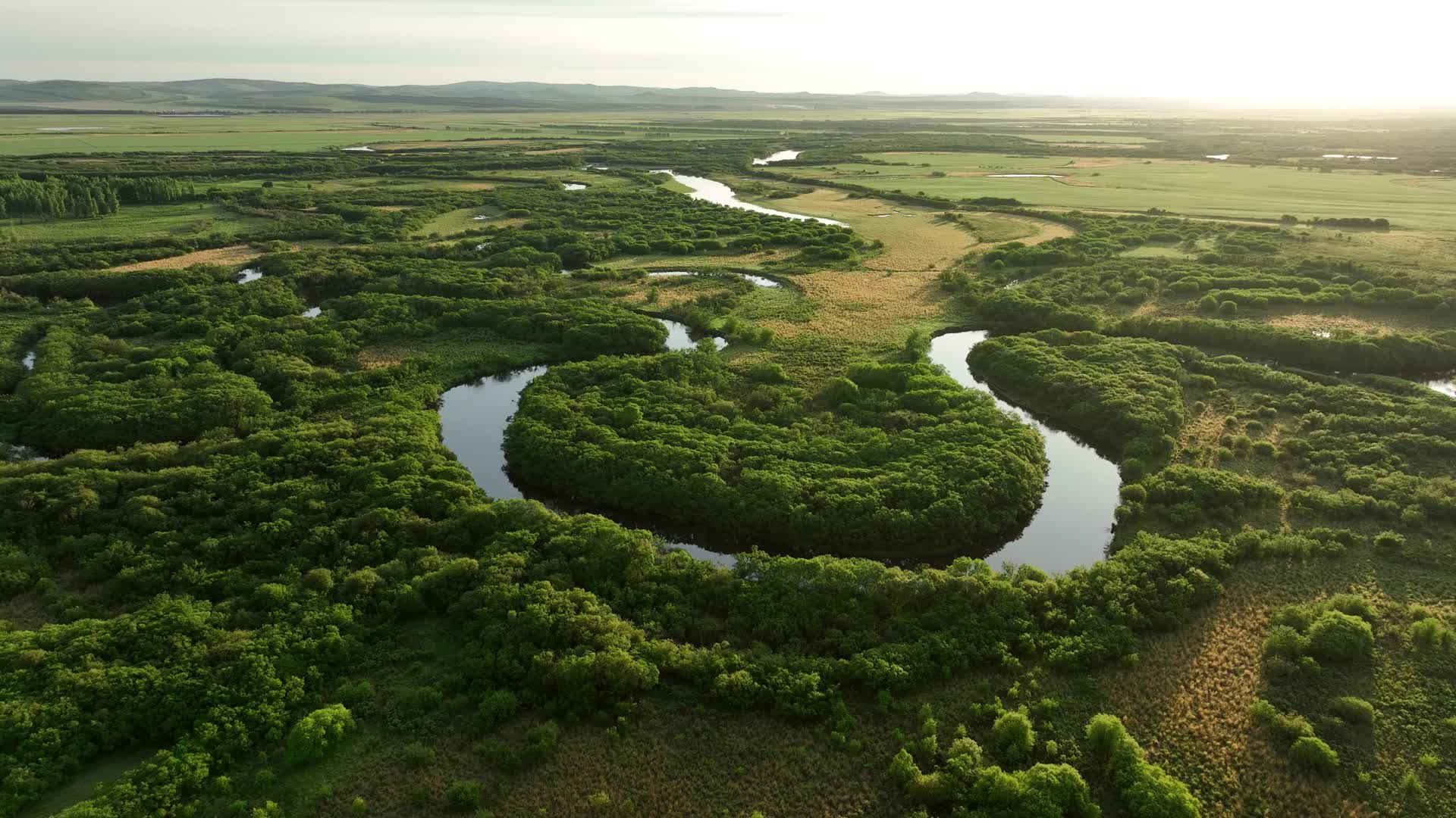 航拍大兴安岭湿地河流风光视频的预览图