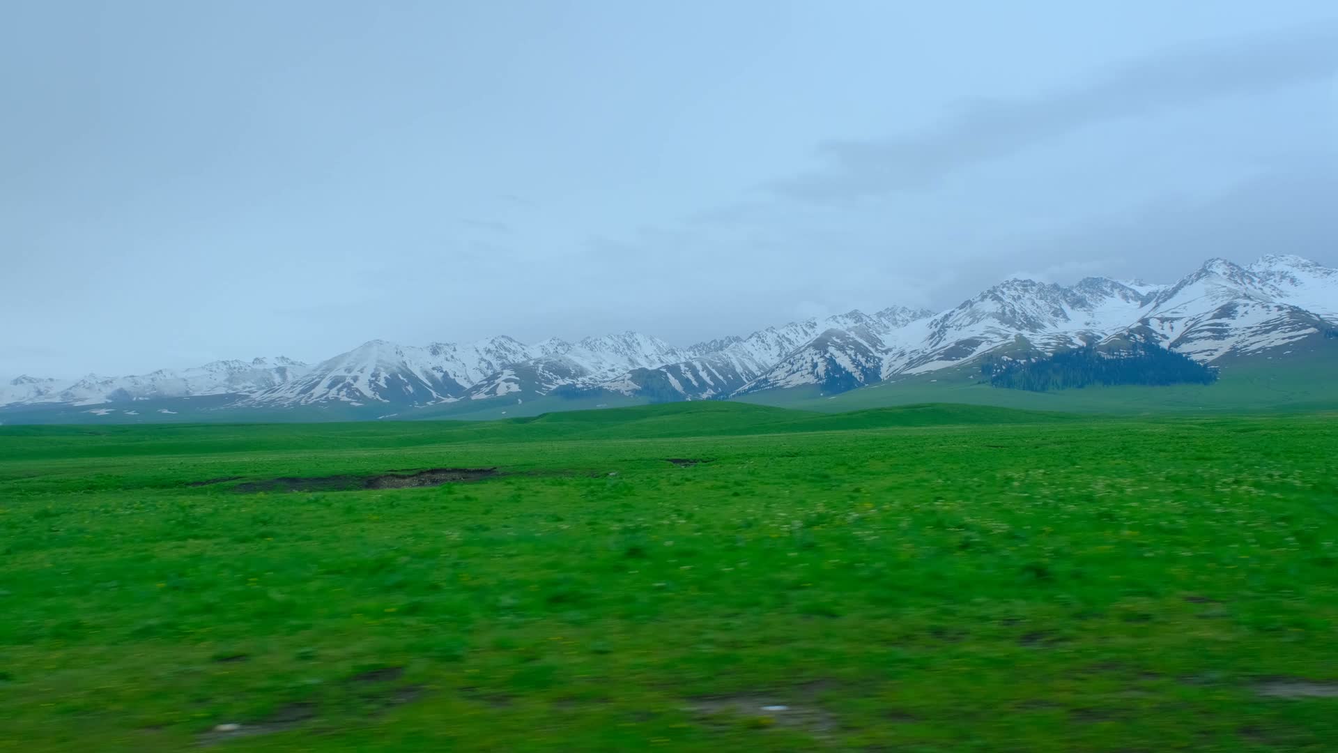 新疆那拉提一望无际的草原雪山绝美风光视频的预览图