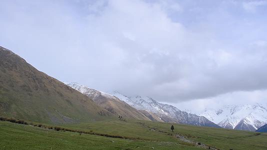 新疆夏塔森林公园的草原雪山森林绝美风光视频的预览图
