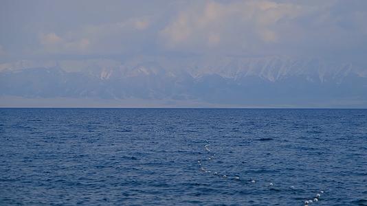 新疆赛里木湖雪山湖泊绝美风光视频的预览图