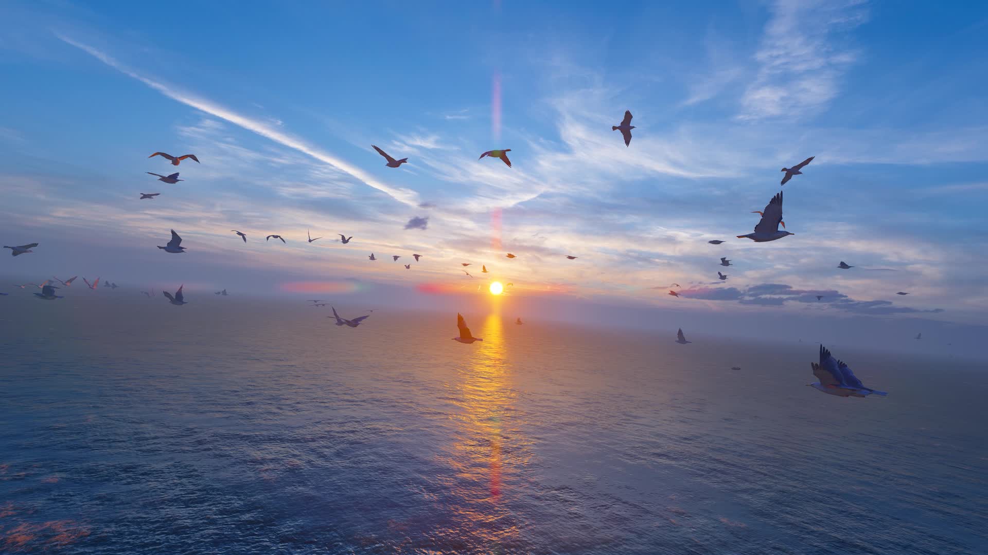 海鸥群在辽阔的海面自由翱翔视频的预览图