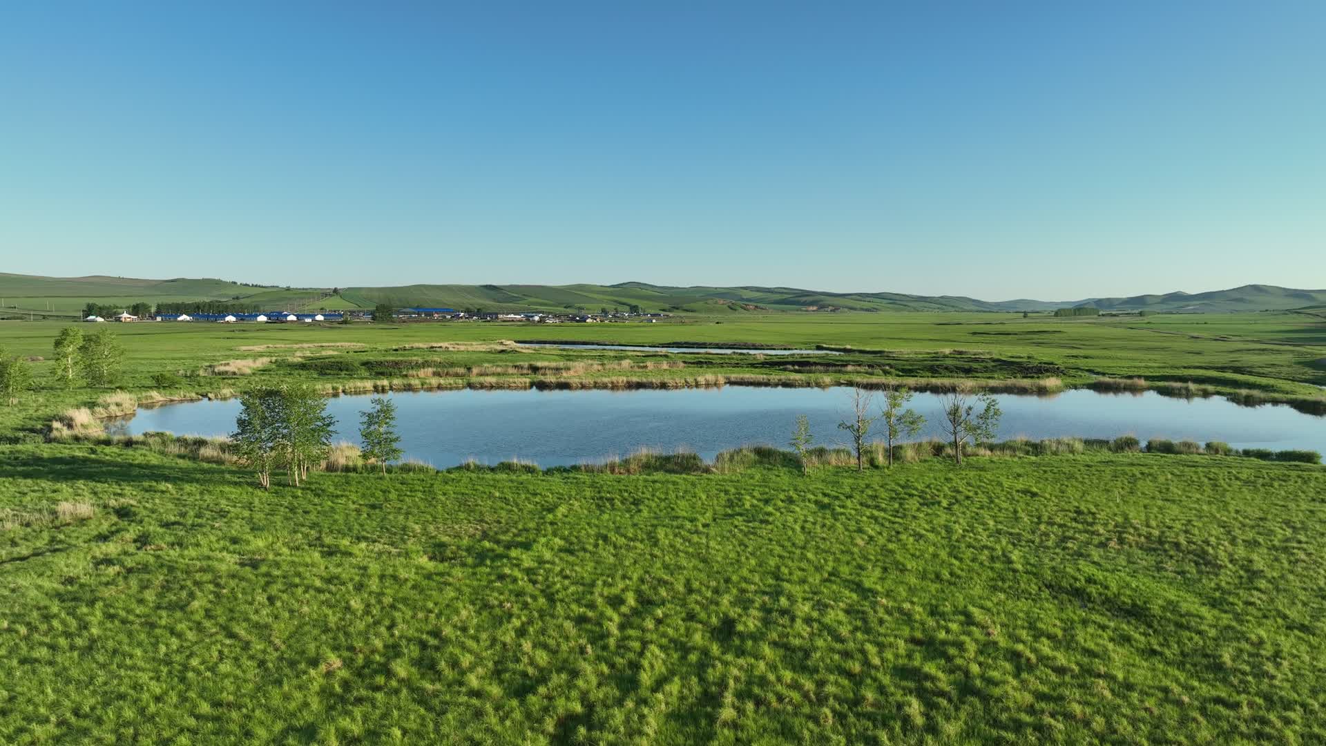 航拍呼伦贝尔湿地湖泊风景视频的预览图