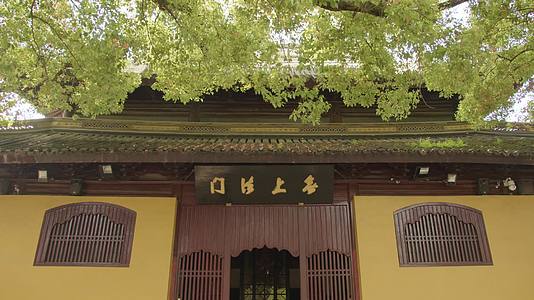 佛教文化道场中国寺庙修行古典建筑祈福拜佛视频的预览图