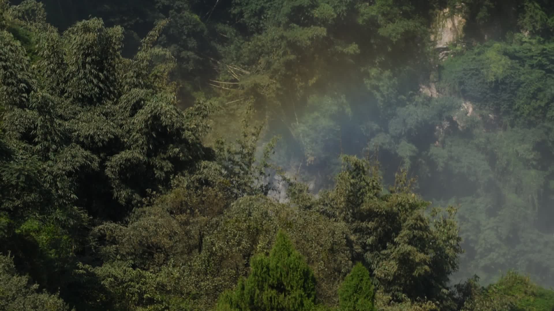 黄果树大瀑布植被水雾视频的预览图