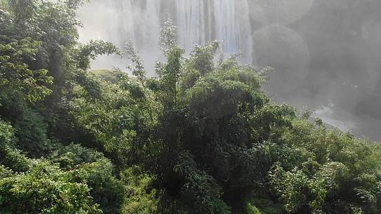 黄果树大瀑布植被水雾视频的预览图