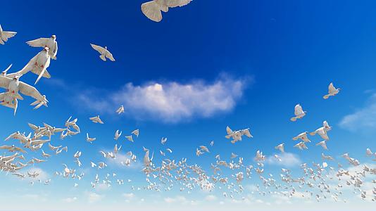 自由飞向蓝天白云的白鸽视频的预览图