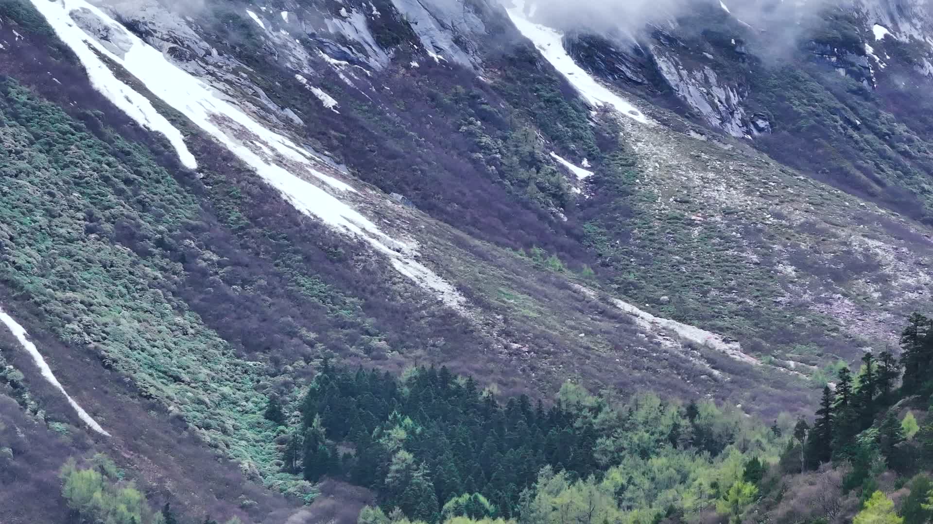 4K航拍川西阿坝州毕棚沟风光美景视频的预览图