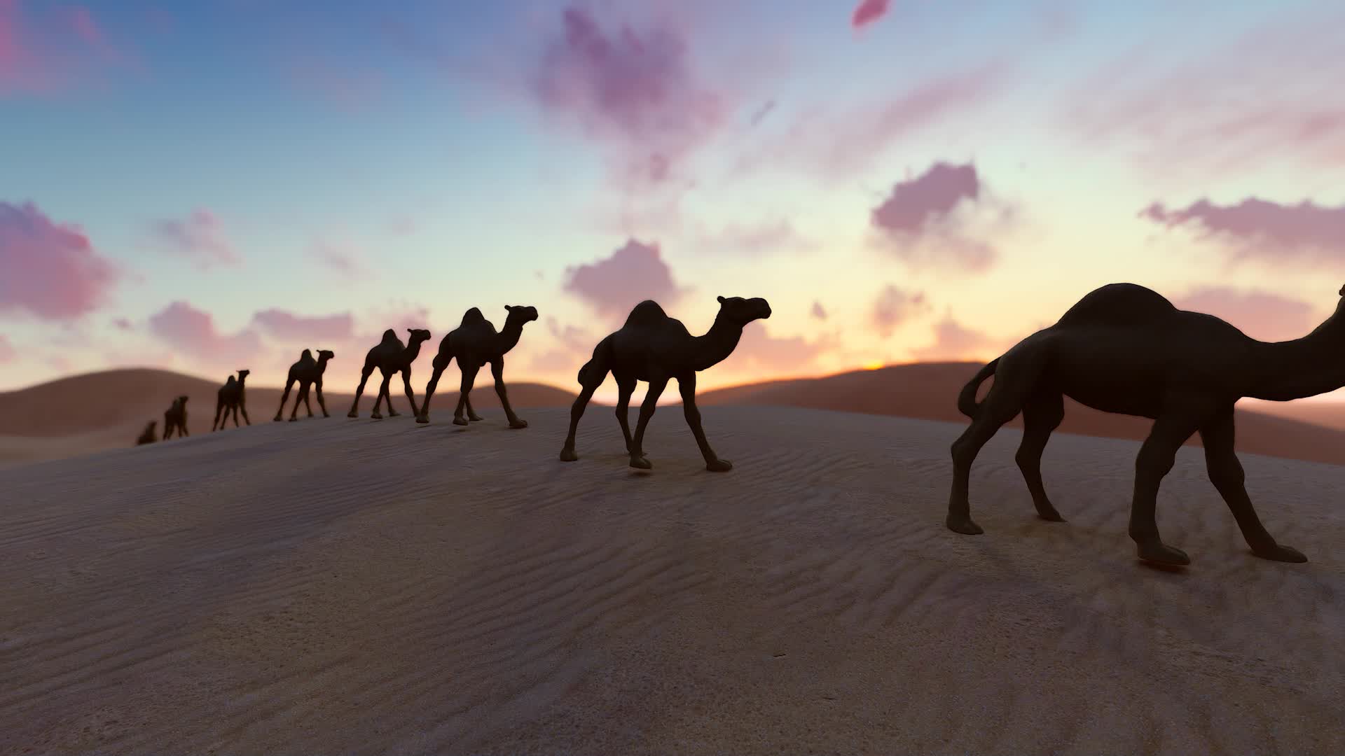 西域丝绸之路上行走的沙漠骆驼视频的预览图