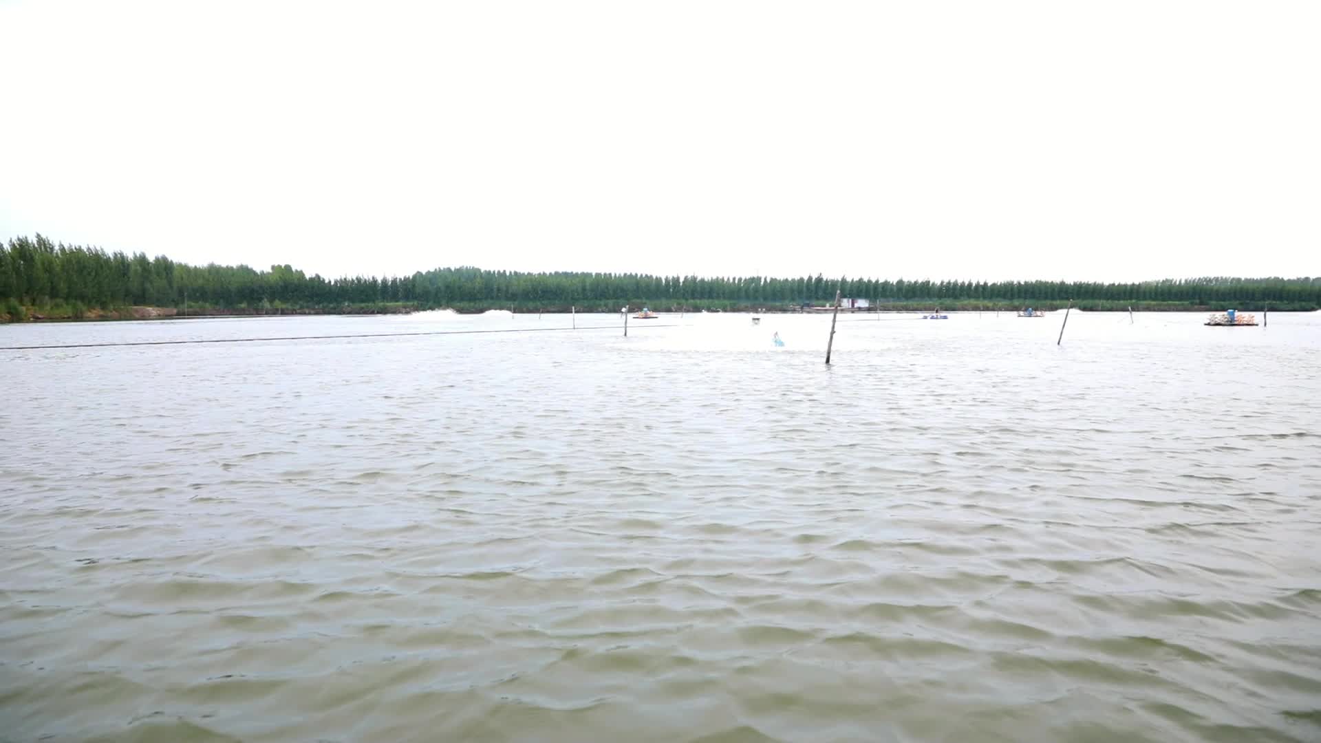 鱼塘鱼群打氧机渔业养鱼场视频的预览图