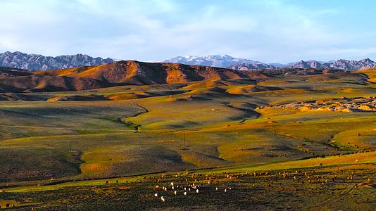 4K航拍新疆阿勒泰萨尔布拉克草原夕阳羊群视频的预览图
