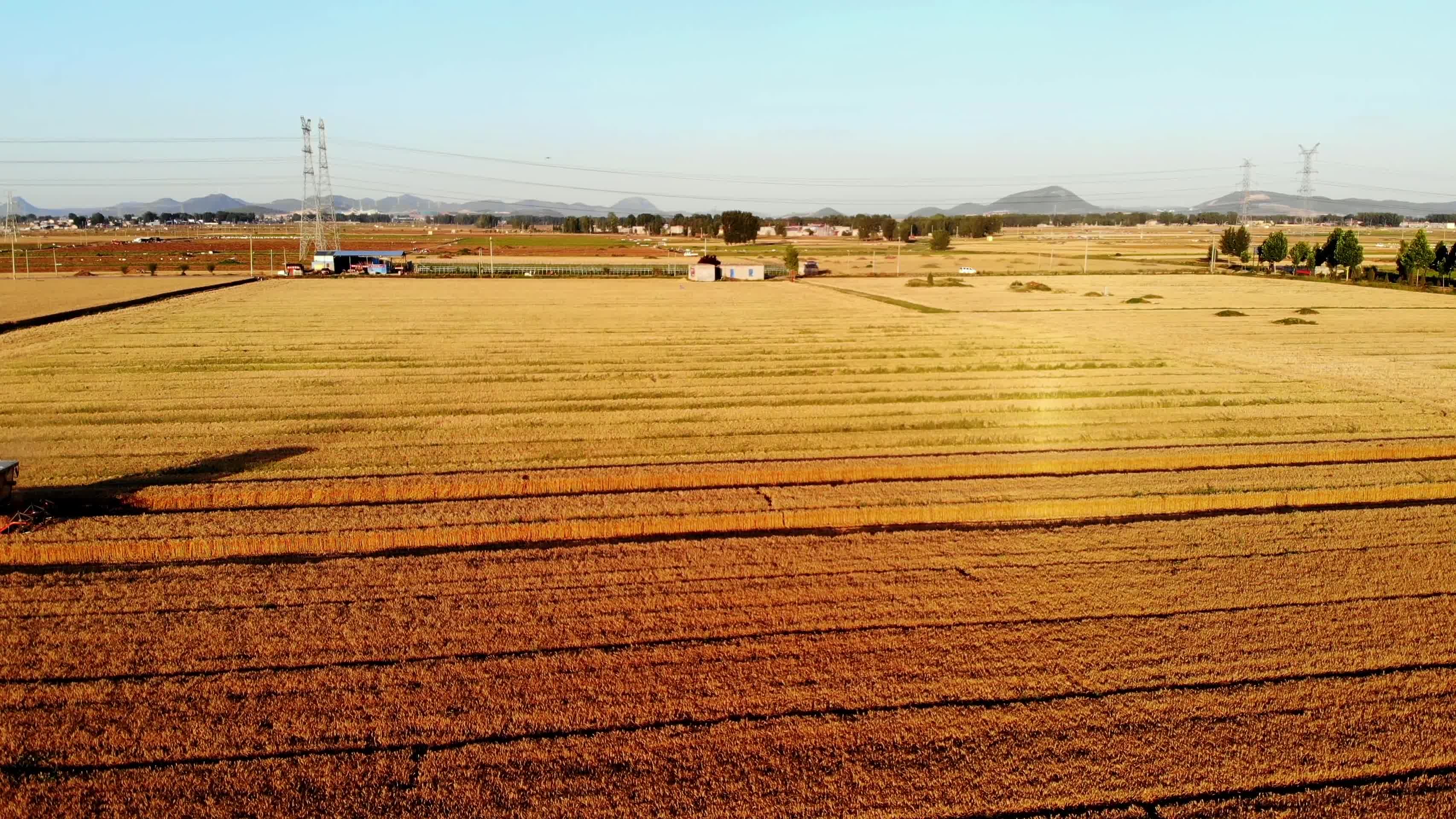 联合收割机收割小麦视频的预览图
